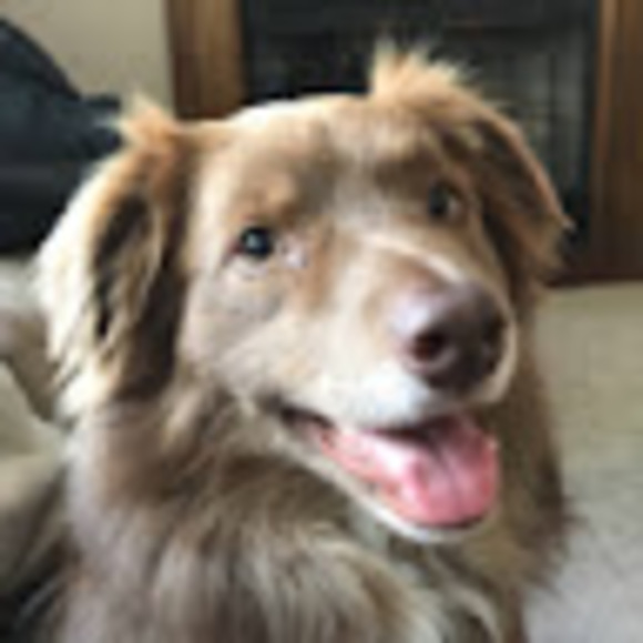 Meet your Posher, Kyle - Picture 1 of 1